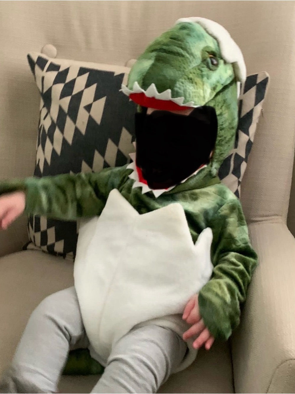 Pottery Barn Kids Green and White Dinosaur Hoodie Costume